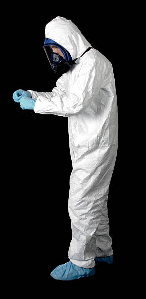 Best Industrial Mold Remediation  in Romoland, CA